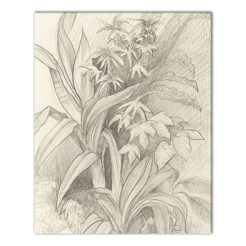 Boho Home Garden 16" x 20" Canvas Wall Art