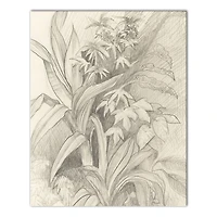 Boho Home Garden 16" x 20" Canvas Wall Art