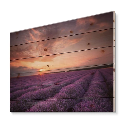 Designart - Sunrise & Dramatic Clouds Over Lavender Field XII