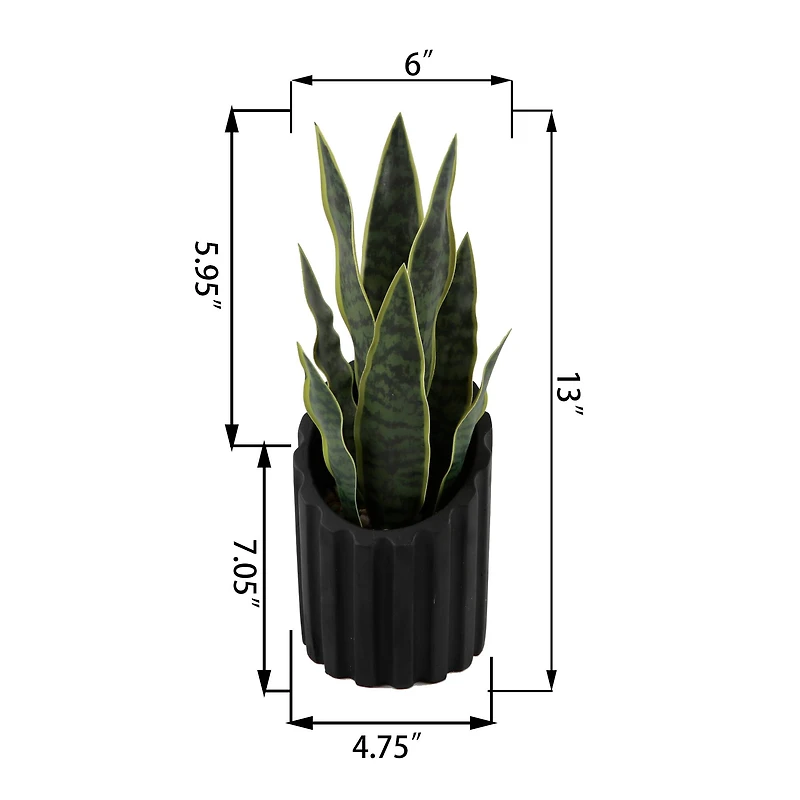 Flora Bunda® 13" Snake Plant in Black Ribbed Cement Planter