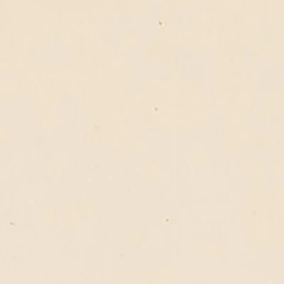 Fabric Traditions Unbleached Muslin Fabric