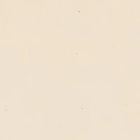 Fabric Traditions Unbleached Muslin Fabric