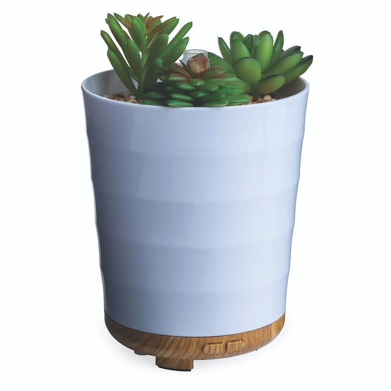 Airomé 100mL Potted Succulent Medium Ultra Sonic Diffuser