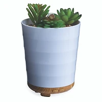 Airomé 100mL Potted Succulent Medium Ultra Sonic Diffuser