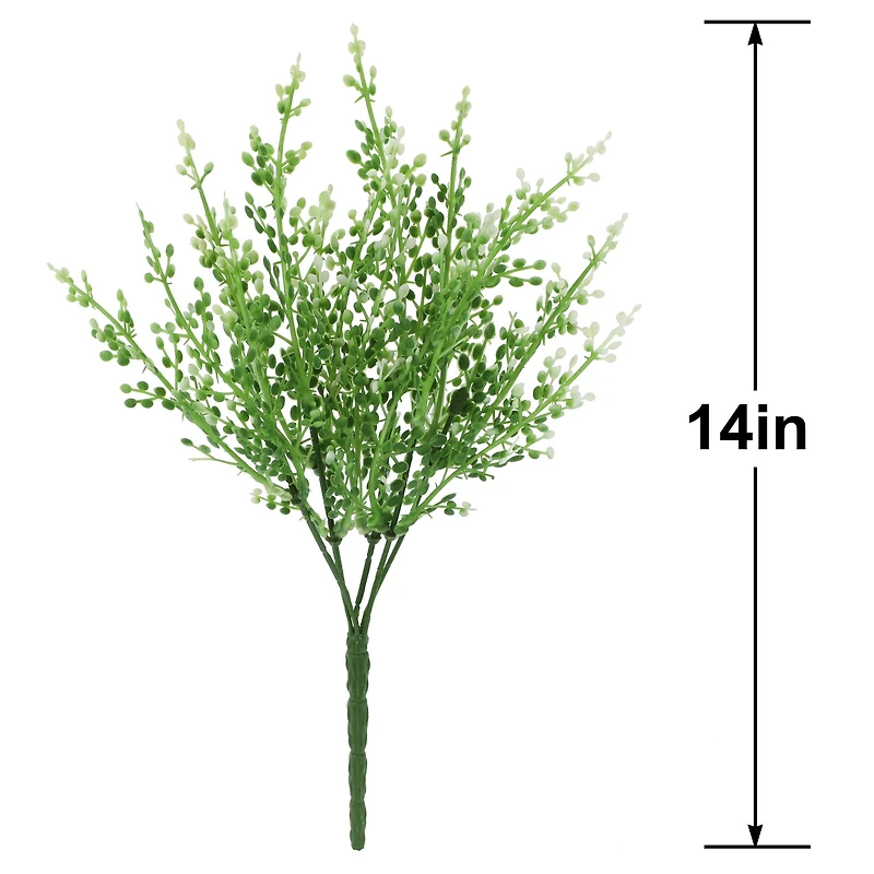 14" Berry Bush by Ashland