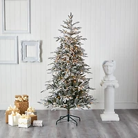 6.5ft. Pre-Lit Manchester Spruce Artificial Christmas Tree, Clear Lights