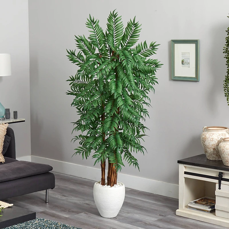 6ft. Parlor Palm Tree in White Planter