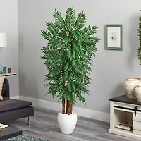 6ft. Parlor Palm Tree in White Planter