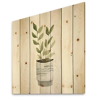 Designart - Indoor Green Home House Plants II