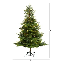5ft. Pre-Lit North Carolina Spruce Artificial Christmas Tree, Clear Lights