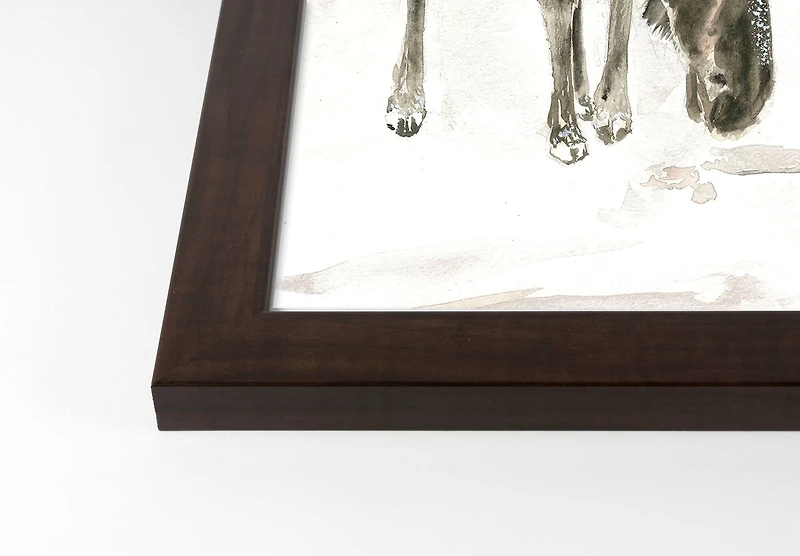 Winter Moose Walnut Framed Print Under Plexiglass