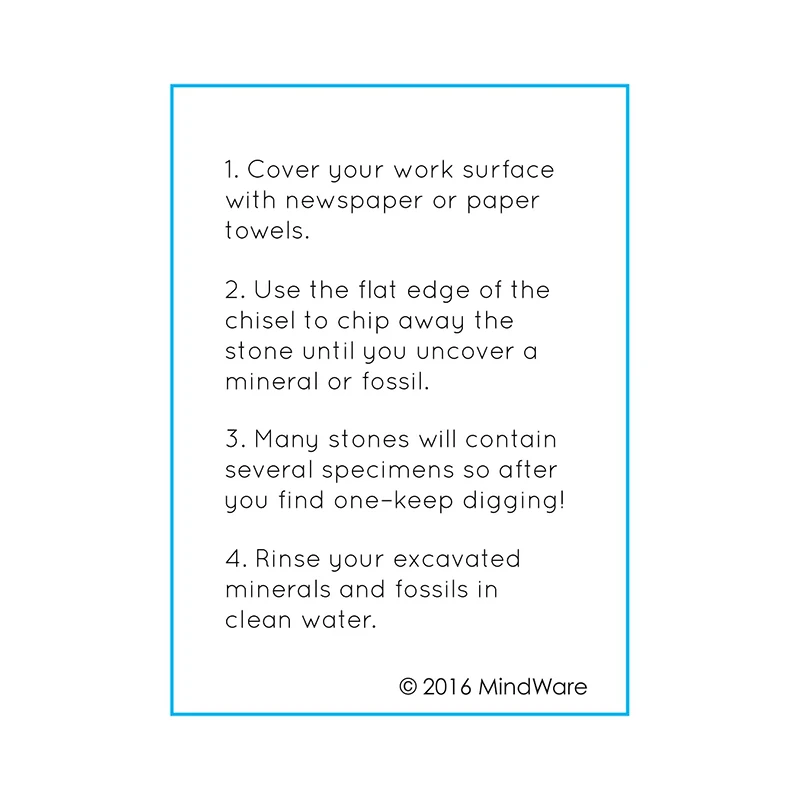 Dig It Up! - Minerals and Fossils