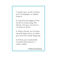 Dig It Up! - Minerals and Fossils