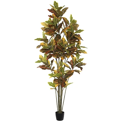 7ft. Potted Green & Orange Croton Tree