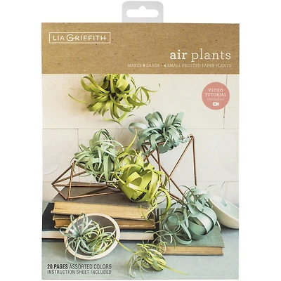 Lia Griffith Paper Stack 8.5" x 11" 24 ct. Airplants