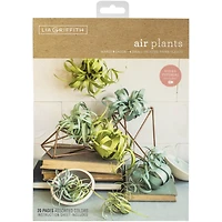 Lia Griffith Paper Stack 8.5" x 11" 24 ct. Airplants