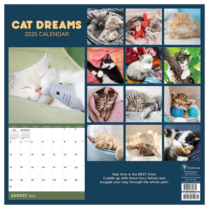 TF Publishing 2025 Cat Dreams Wall Calendar