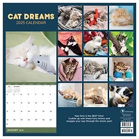 TF Publishing 2025 Cat Dreams Wall Calendar