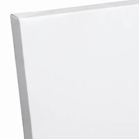 Heron Duo Canvas Wall Art