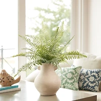 20.5" Fern Foliage Bundles, 2ct.