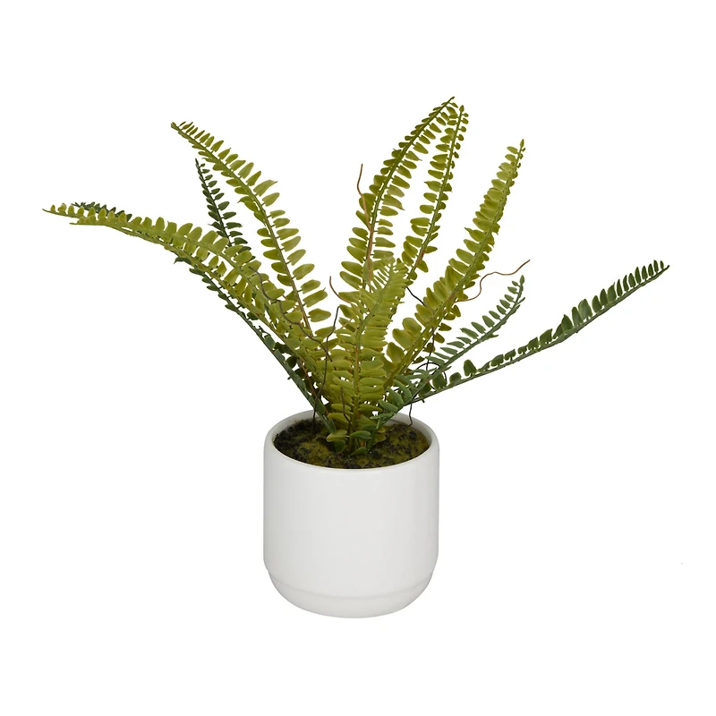 The Novogratz Green Ceramic Contemporary Artificial Foliage, 12" x 15" x 10"