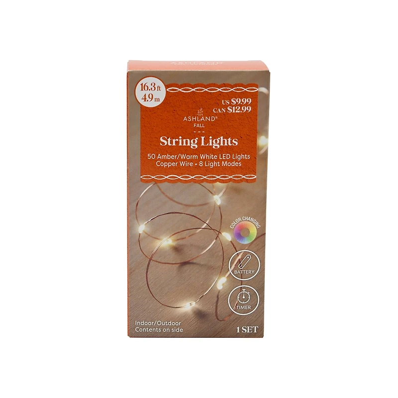 50ct. Amber/Warm White LED String Lights by Ashland®