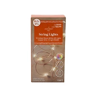 50ct. Amber/Warm White LED String Lights by Ashland®