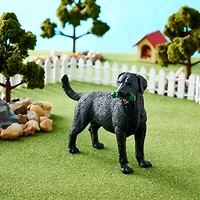 Safari Ltd® Black Labrador