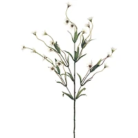 16 Pack: Cream Wild Daisy Spray by Ashland®