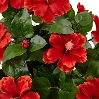 22" Hibiscus Flowering Plant in Swirl Planter