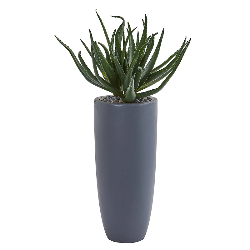 2.5ft. Aloe in Gray Planter