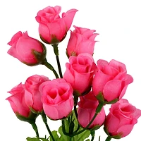 12" Rose Bud Bush by Ashland