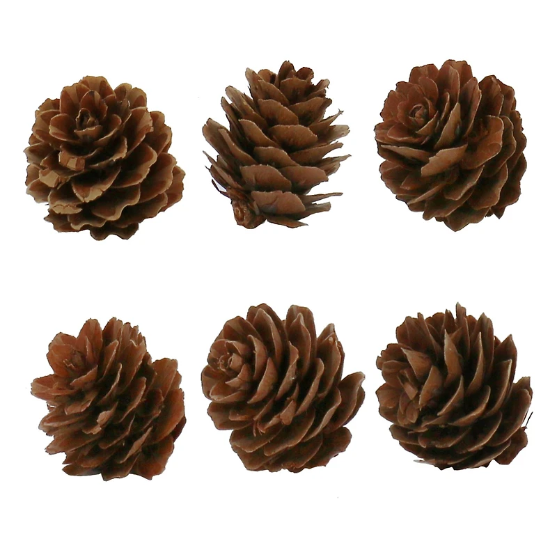 Pumpkin, Pinecone, Maple Leaf & Berry Mix, 14ct. by Ashland®