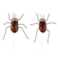 Bugs, 2ct. by Ashland®