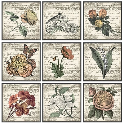 Stupell Industries French Botanical Multi Panel Illustrations