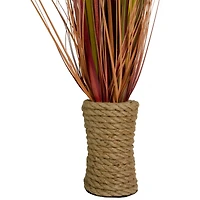 2.8ft. Red Grass Plant in Rope Pot