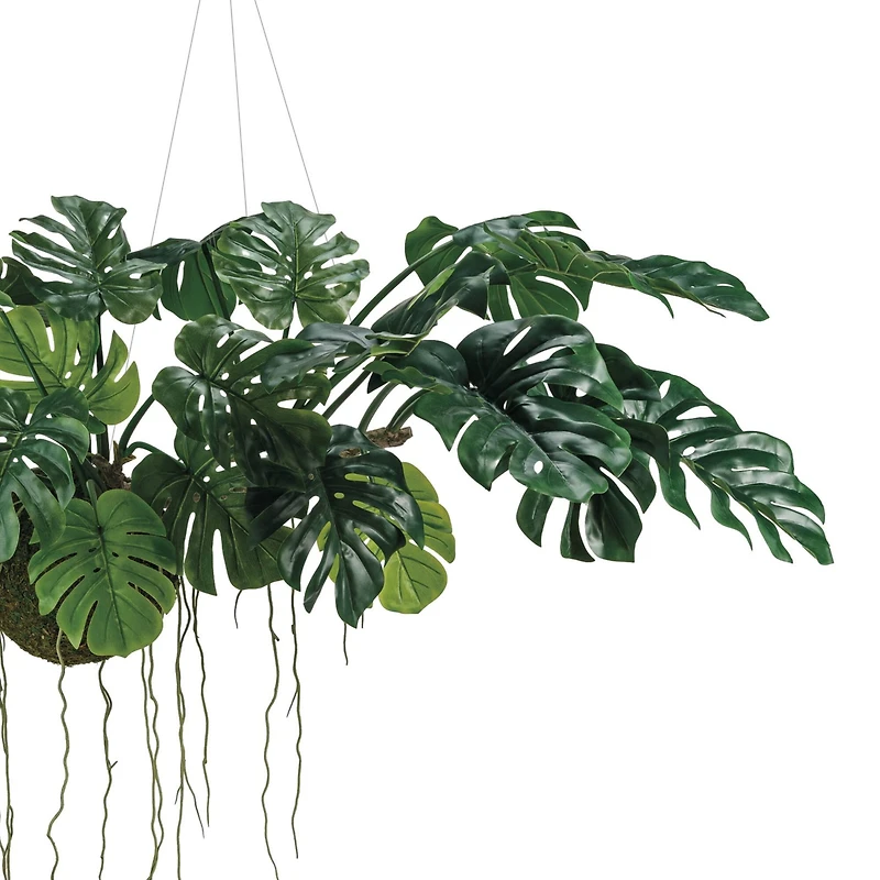 Hello Honey® 51" Lush Green Hanging Monstera Kokedama