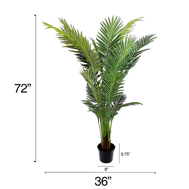 6ft. Potted Green Areca Palm Tree by Ashland®