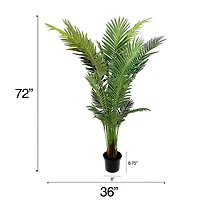 6ft. Potted Green Areca Palm Tree by Ashland®