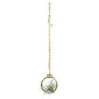 Flora Bunda® 29" Air Plant in Hanging Beaded Wood Planter