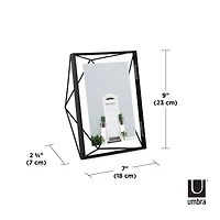 Umbra Prisma Picture Frame