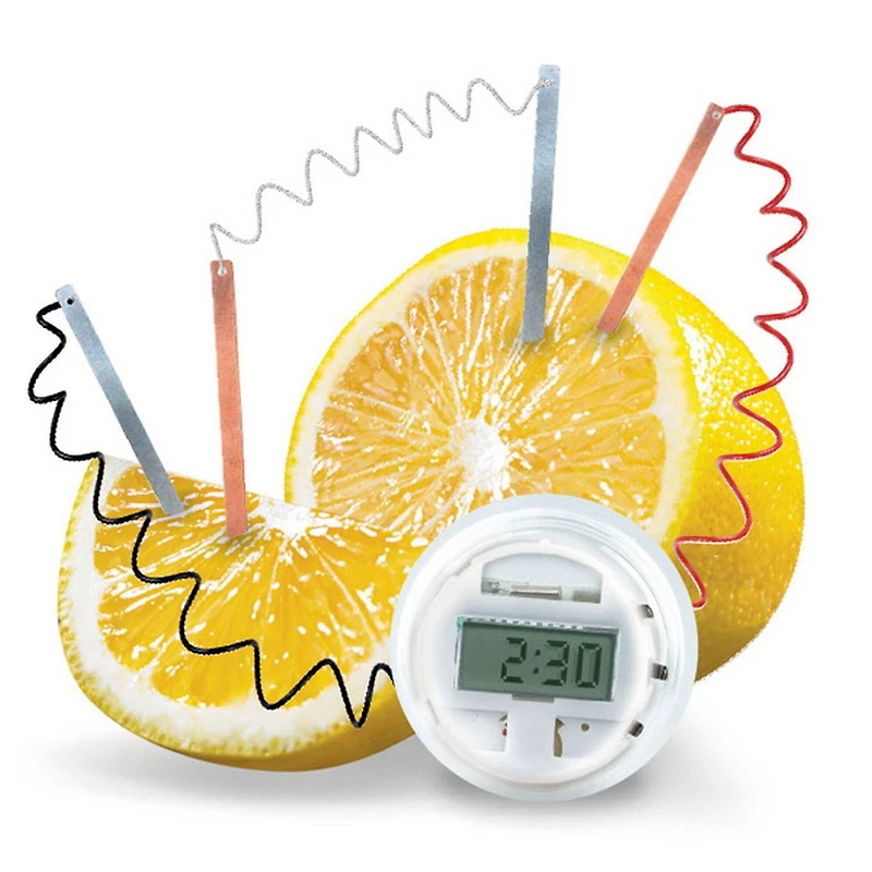 Toysmith® 4M Kids Labs Lemon Clock Kit
