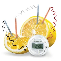 Toysmith® 4M Kids Labs Lemon Clock Kit