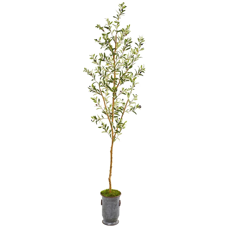 7.5ft. Olive Tree in Decorative Planter