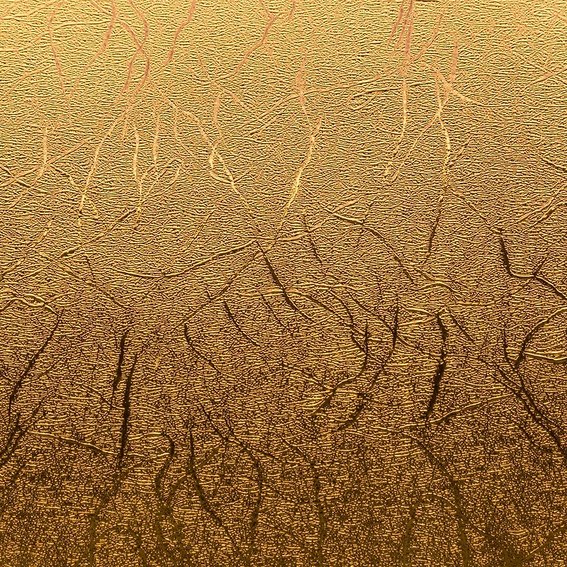 Cricut® Martha Stewart Gilded Black Tie Mixed Materials