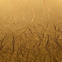 Cricut® Martha Stewart Gilded Black Tie Mixed Materials