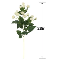 28" Cream Rose Stem by Ashland®
