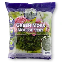 12 Pack: SuperMoss® Preserved Green Moss