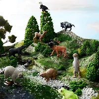 12 Pack: Safari Ltd® Toob® In the Woods Set