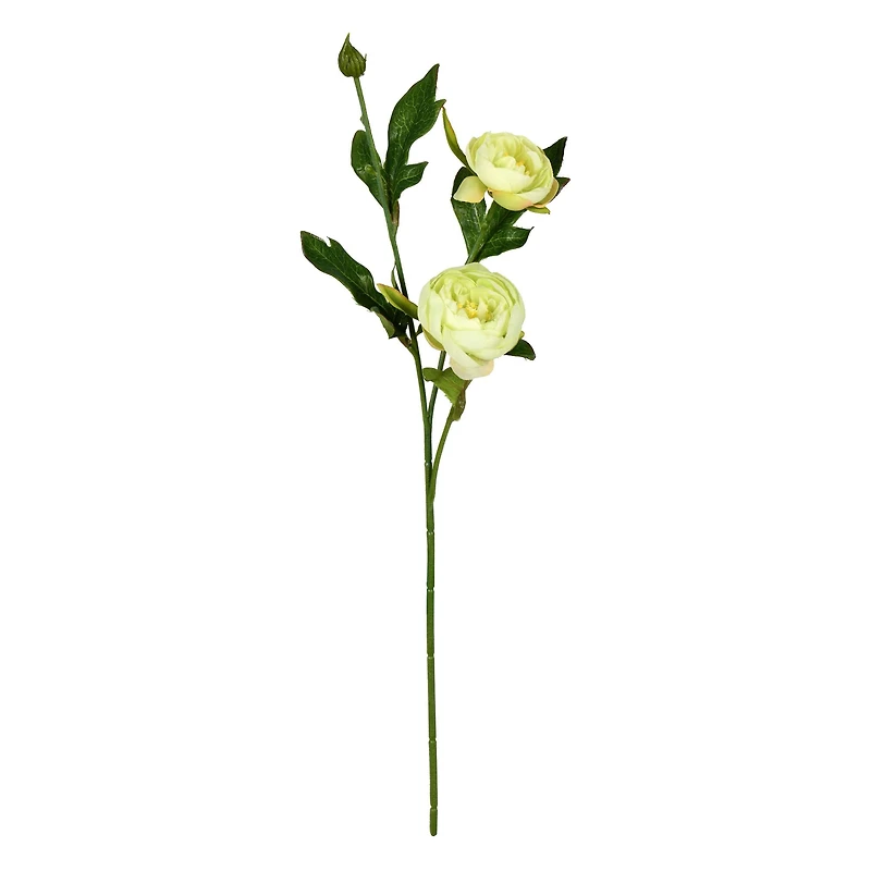 6 Pack: Lime Peony Spray